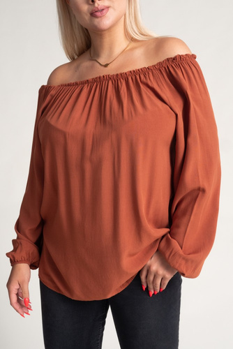 Brown VISKIO Blouse
