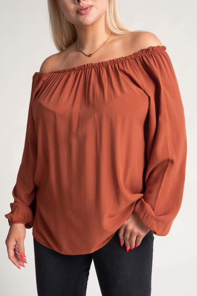 Brown VISKIO Blouse