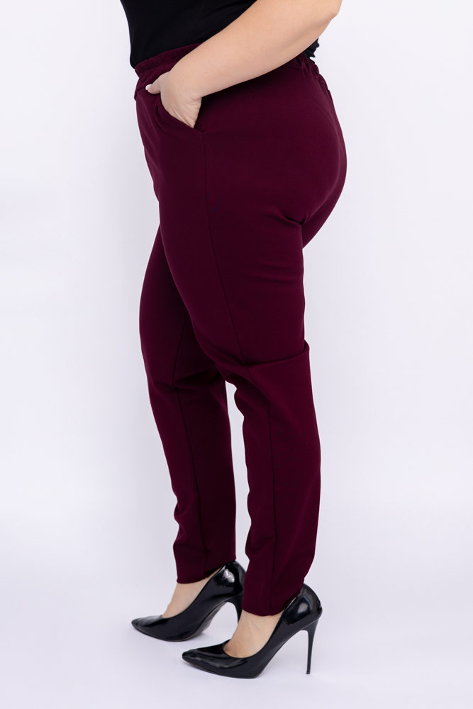 Burgundy Pants