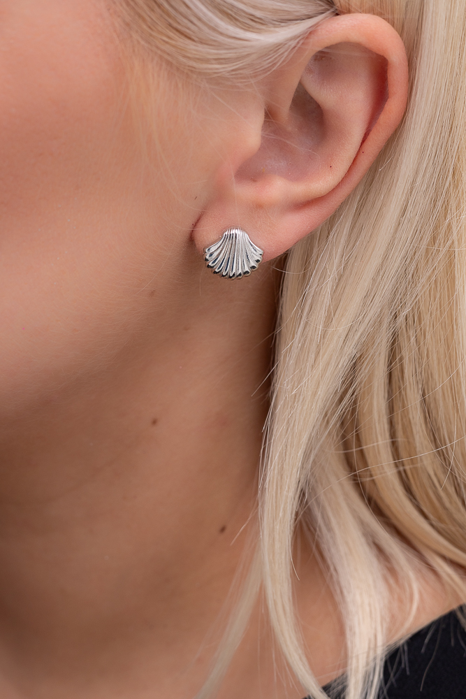 Pendientes de plata de ley