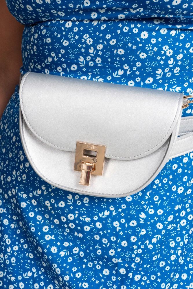 Silver SILVER Kidney Carrier