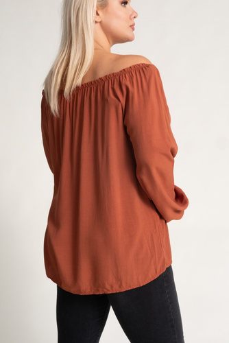 Brown VISKIO Blouse